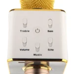 Wireless Microphone And Hifi Speaker
