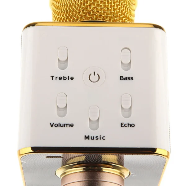 Wireless Microphone And Hifi Speaker