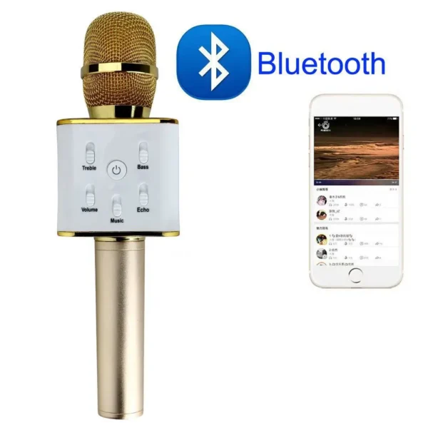 Wireless Microphone And Hifi Speaker Q7