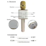 Wireless Microphone & Hifi Speaker