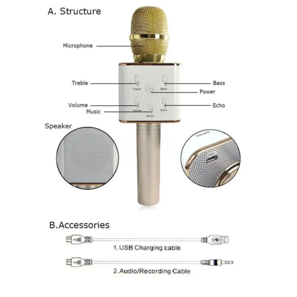 Wireless Microphone & Hifi Speaker