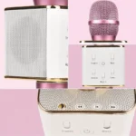 Wireless Microphone & Speaker In Pakistan