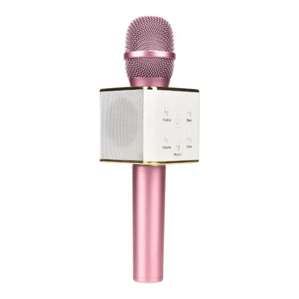 Microphone And Speaker