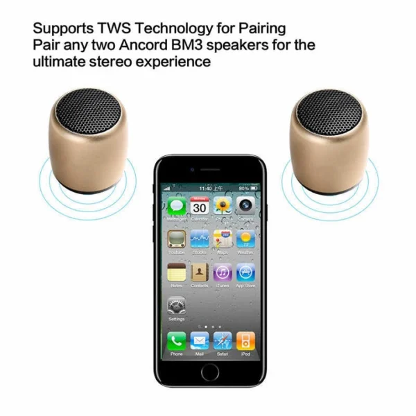 Coin Sized Mini Aluminum Speaker